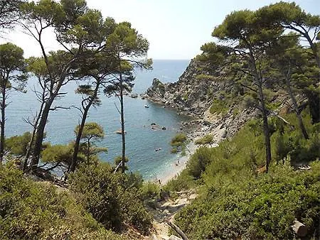 Apartment A 500 Metres Des Plages Et Du Port Du Brusc, Les Terrasses Des Embiez Avec Piscine Et *